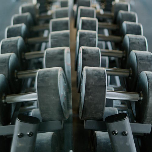 Zware dumbbells in rek. Krachtbegeleiding voor maximale spieropbouw en techniekperfectie PT Breda Dordrecht